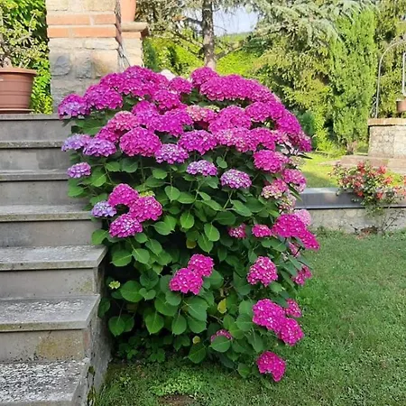 Sempreunagioia