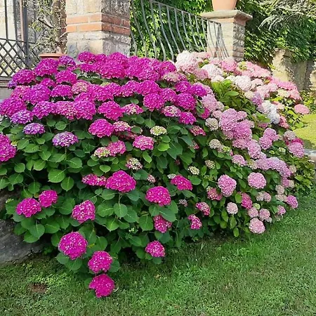 Villa Sempreunagioia *